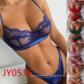 Europe and the United States ladies  sexy lace see-through bra and panty set wish new ultra-thin fashion comfortable underwear